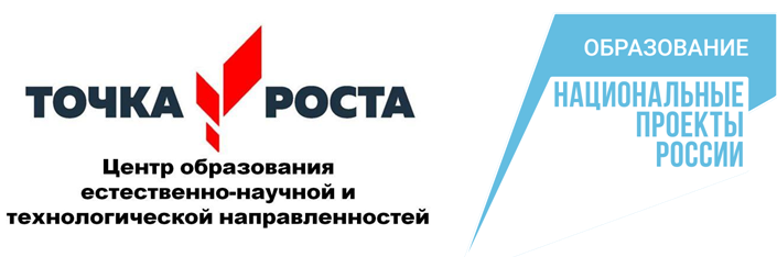 Логтип точка роста.